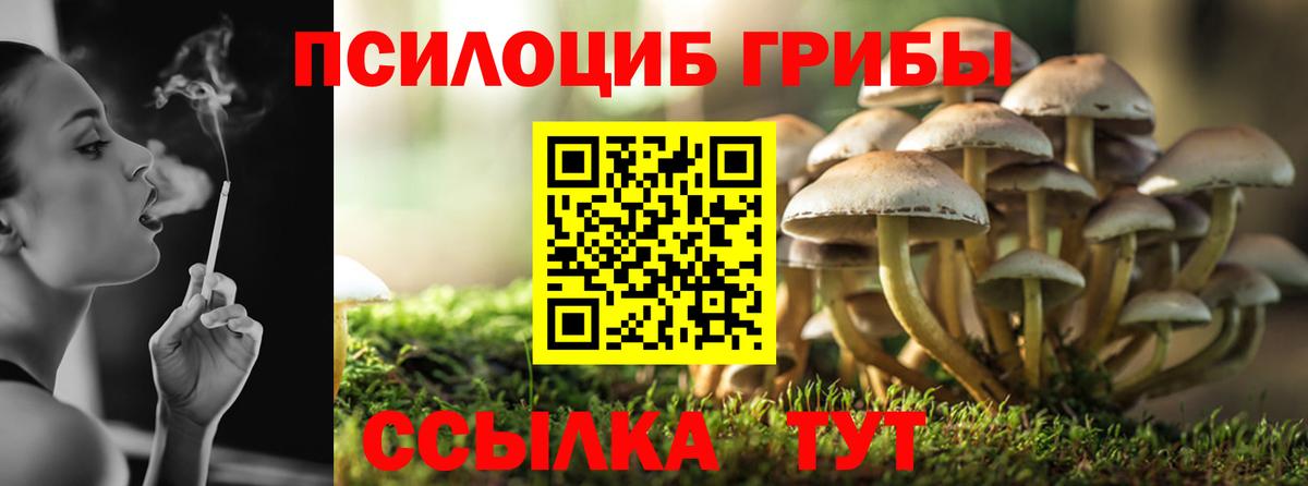 Псилоцибиновые грибы GOLDEN TEACHER  Вход с VPN  Елабуга 